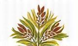 Bilka & Raka Cosmetics Logo - Stylized depiction of natural elements